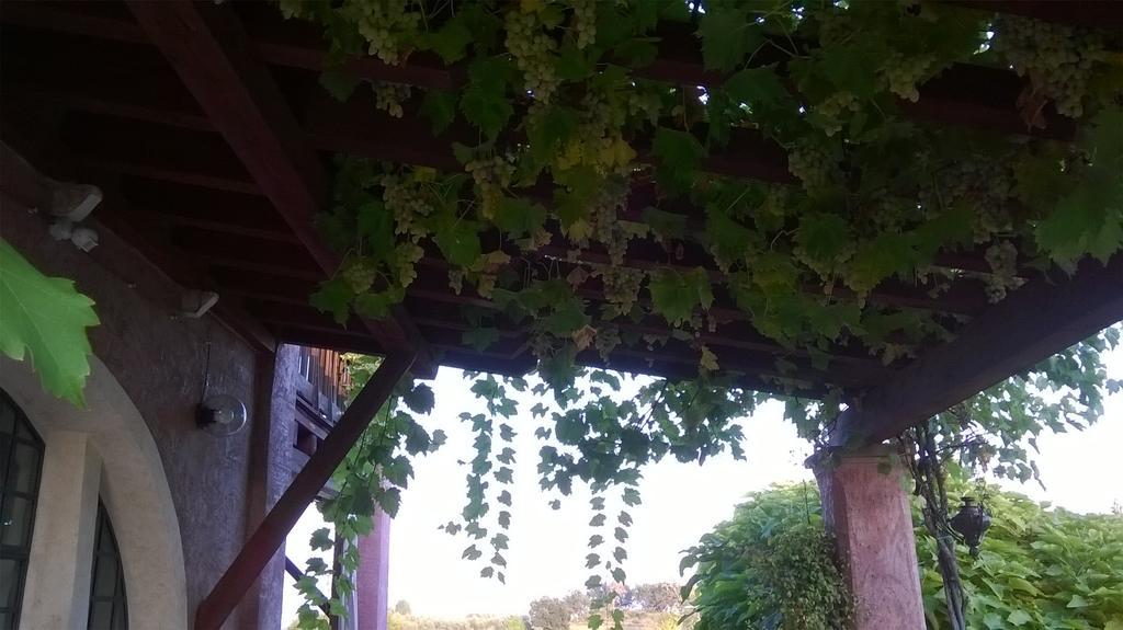 Bed And Breakfast Posserle Padenghe sul Garda Luaran gambar